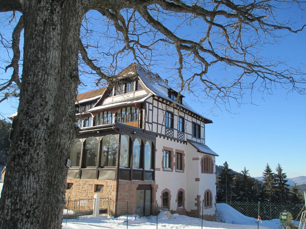 Logis Du Haut-Koenigsbourg Thannenkirch Extérieur photo